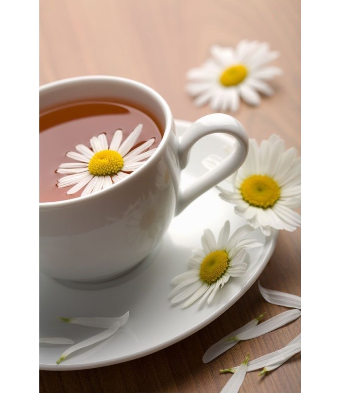 Alesso Coffee & Roastery