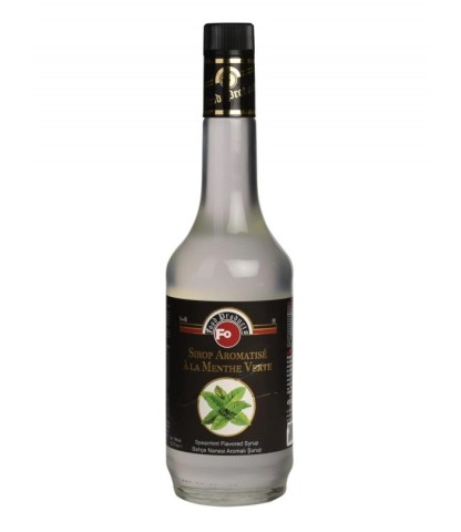 Bahçe Nanesi Aromalı Şurup 700 ml